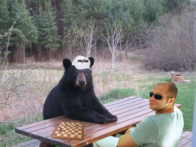 fedorbearchess.jpg