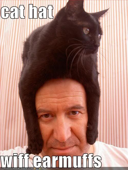 funny-pictures-cat-hat-head.jpg