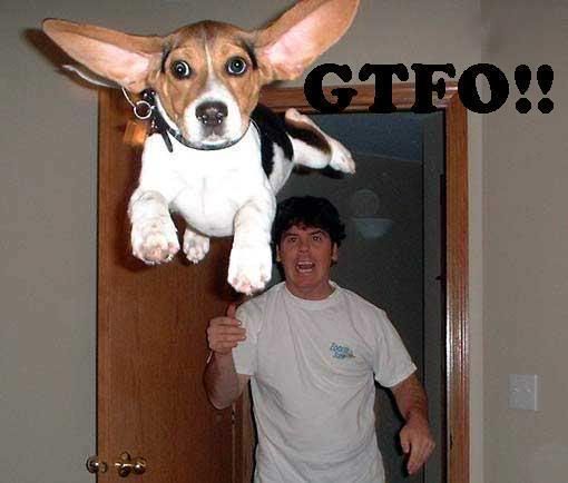 image: gtfodog