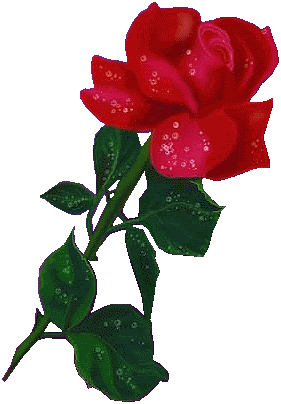 rosa-1.gif picture by josefinamariposazul