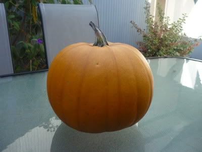 Pumpkin 2011