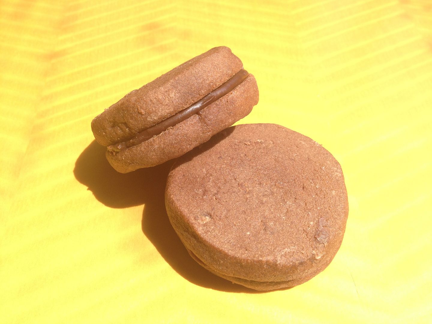 Mint Chocolate Biscuits photo 2014-04-06125351_zps9d6d86c8.jpg
