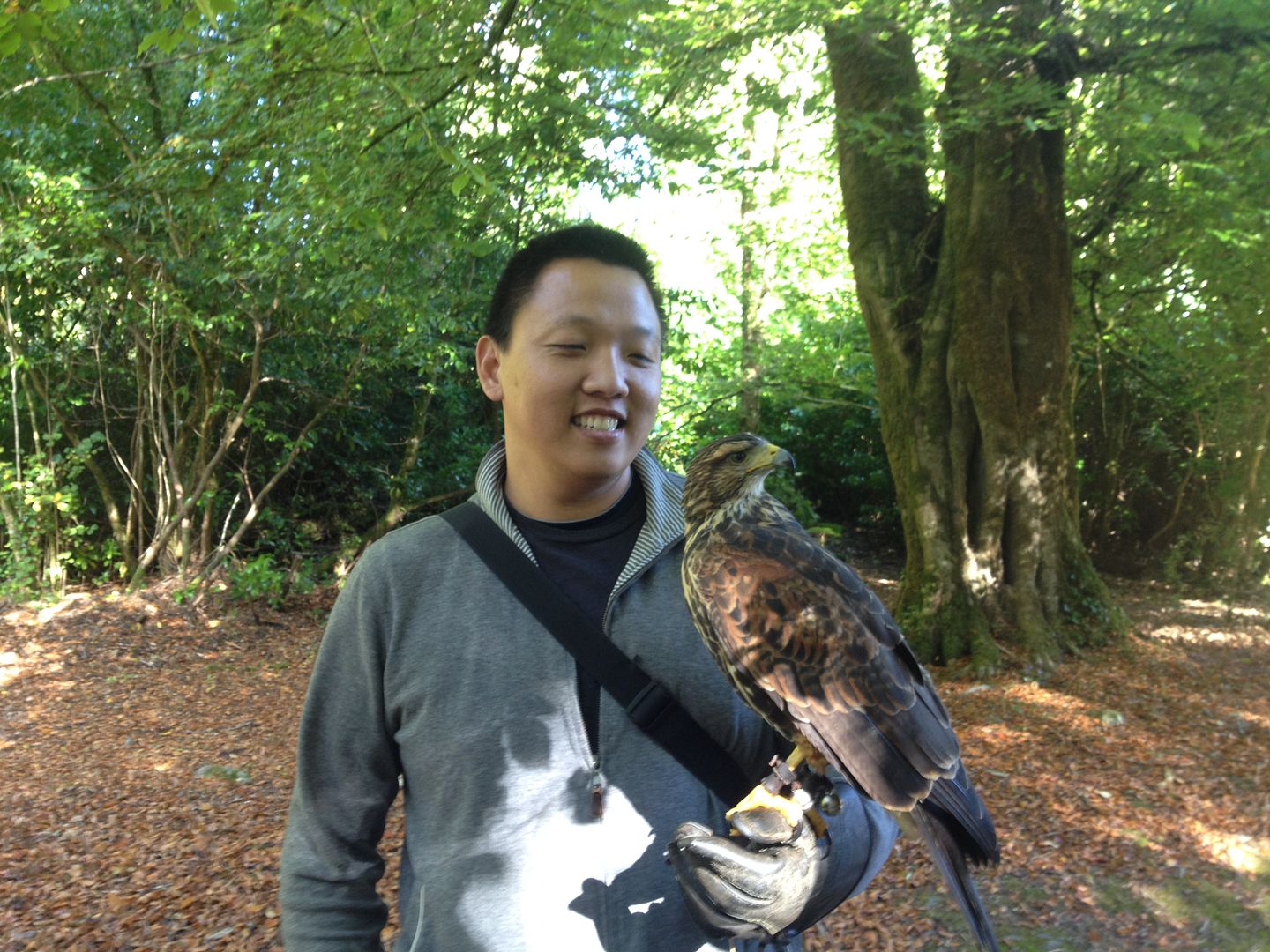 Ireland's School of Falconry Hawk Walk photo 2015-10-13 11.52.56_zpsocwxjneq.jpg