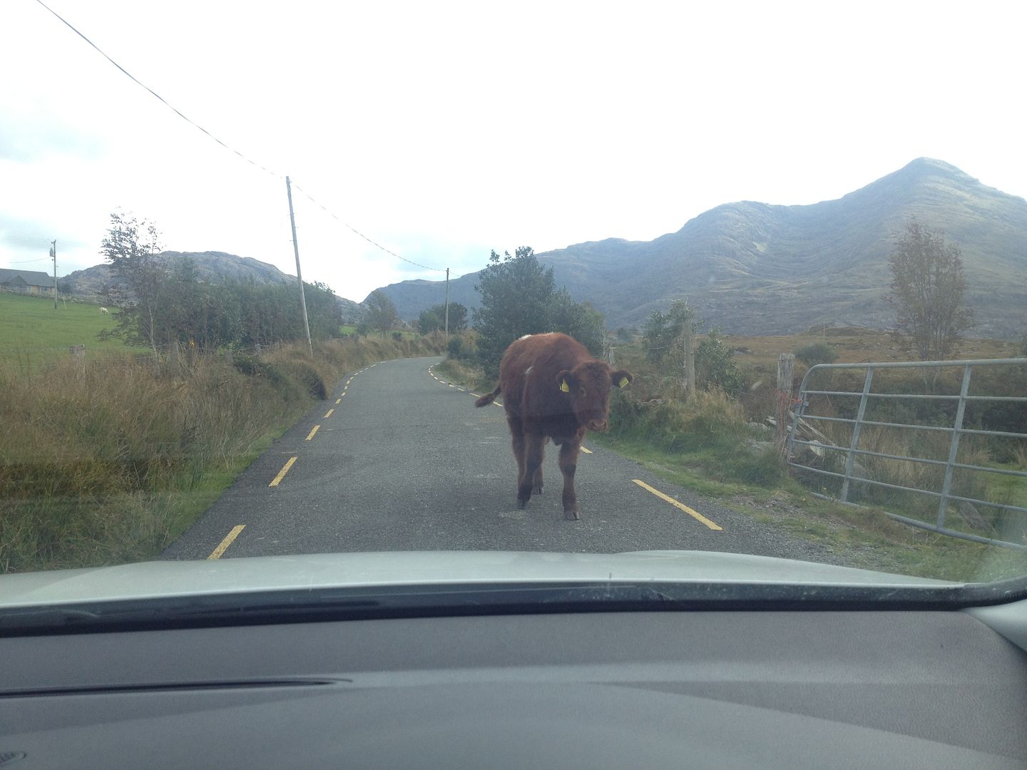 County Kerry, Ireland photo 2015-10-14 14.26.20_zpsobvqehlx.jpg