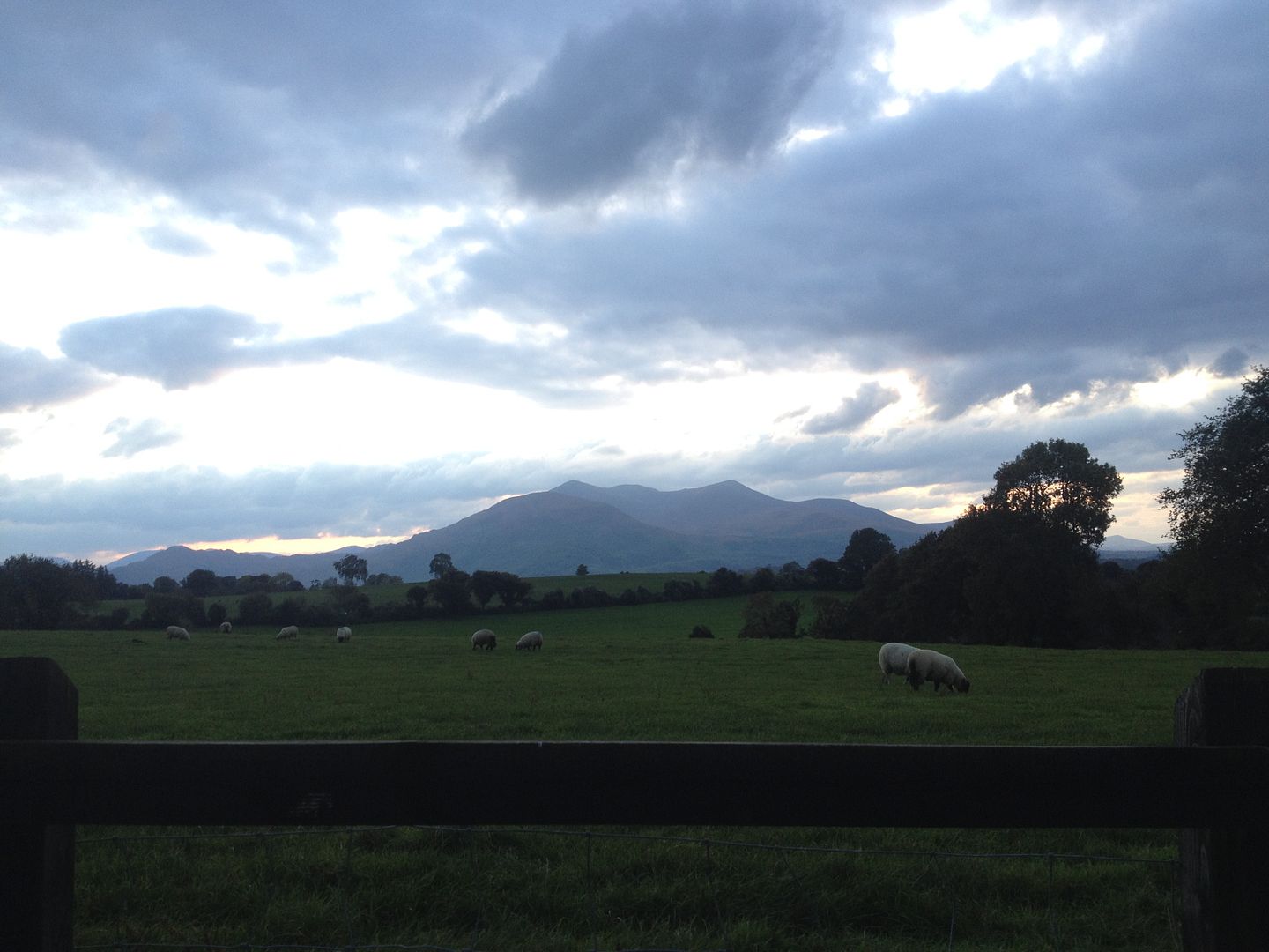 Killarney, Ireland photo 2015-10-14 18.33.06_zpsbbpnw1ry.jpg