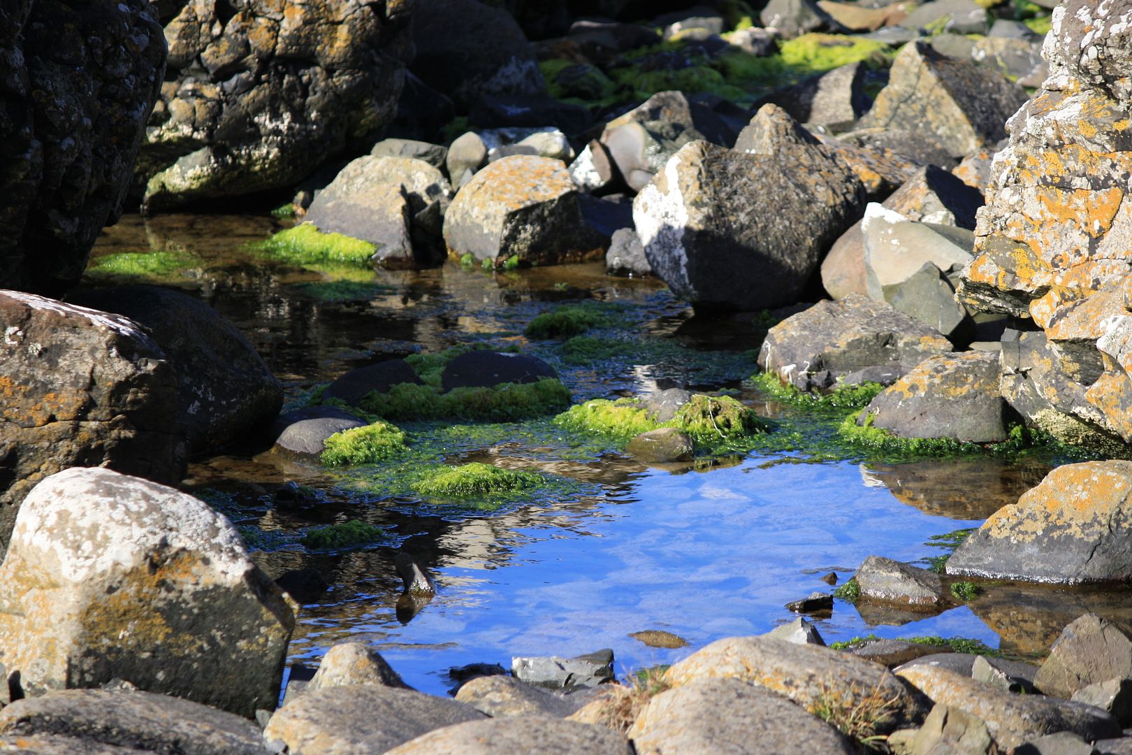 Giant's Causeway, Northern Ireland photo IMG_2379_zpswoujhjlp.jpg