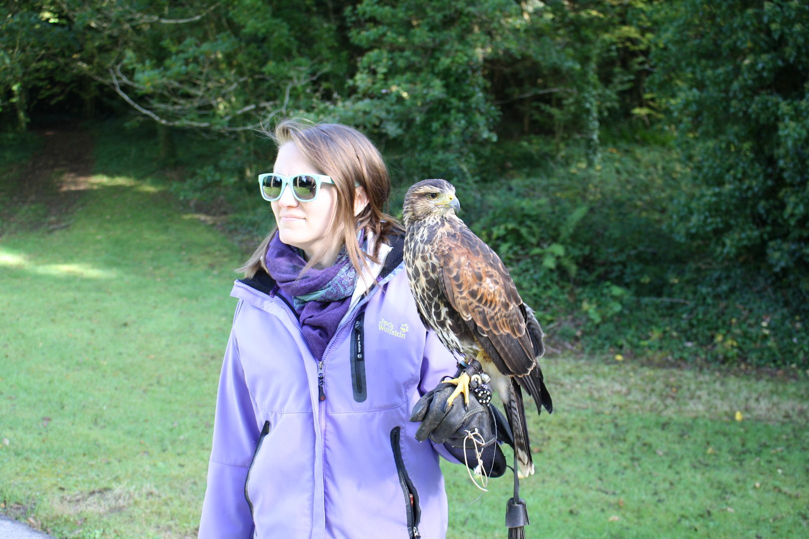 Ireland's School of Falconry Hawk Walk photo IMG_2607_zpsvwqtmxyt.jpg