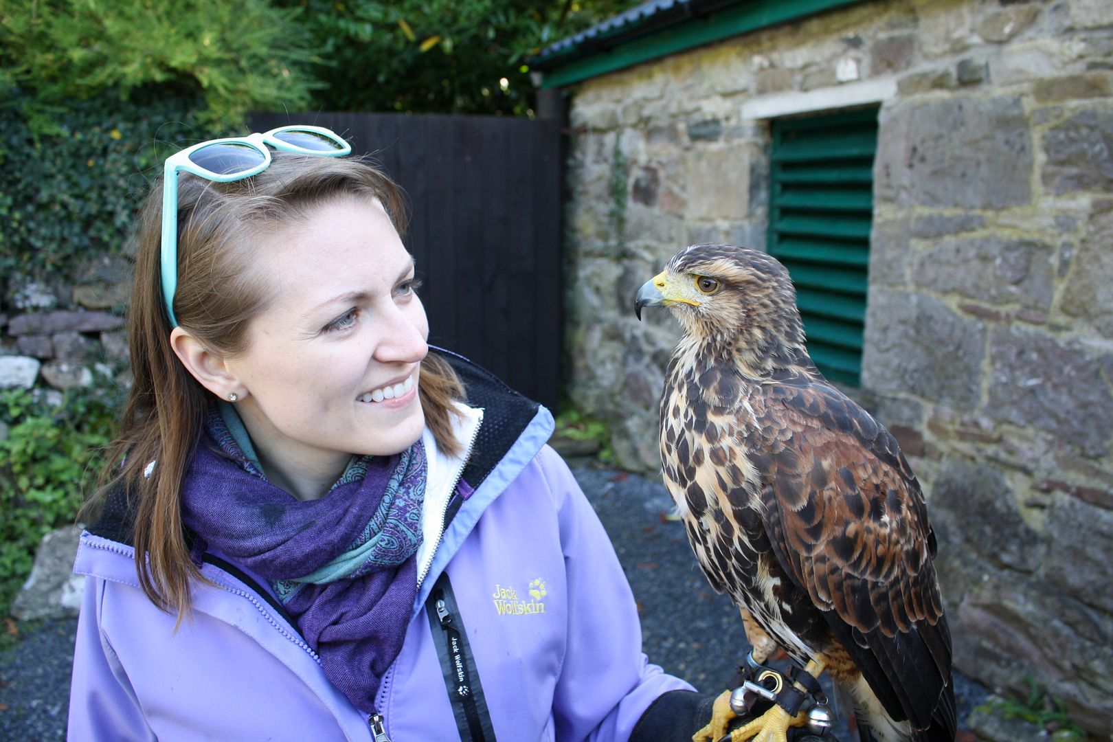 Ireland's School of Falconry Hawk Walk photo IMG_2650_zps8o3ddxkr.jpg