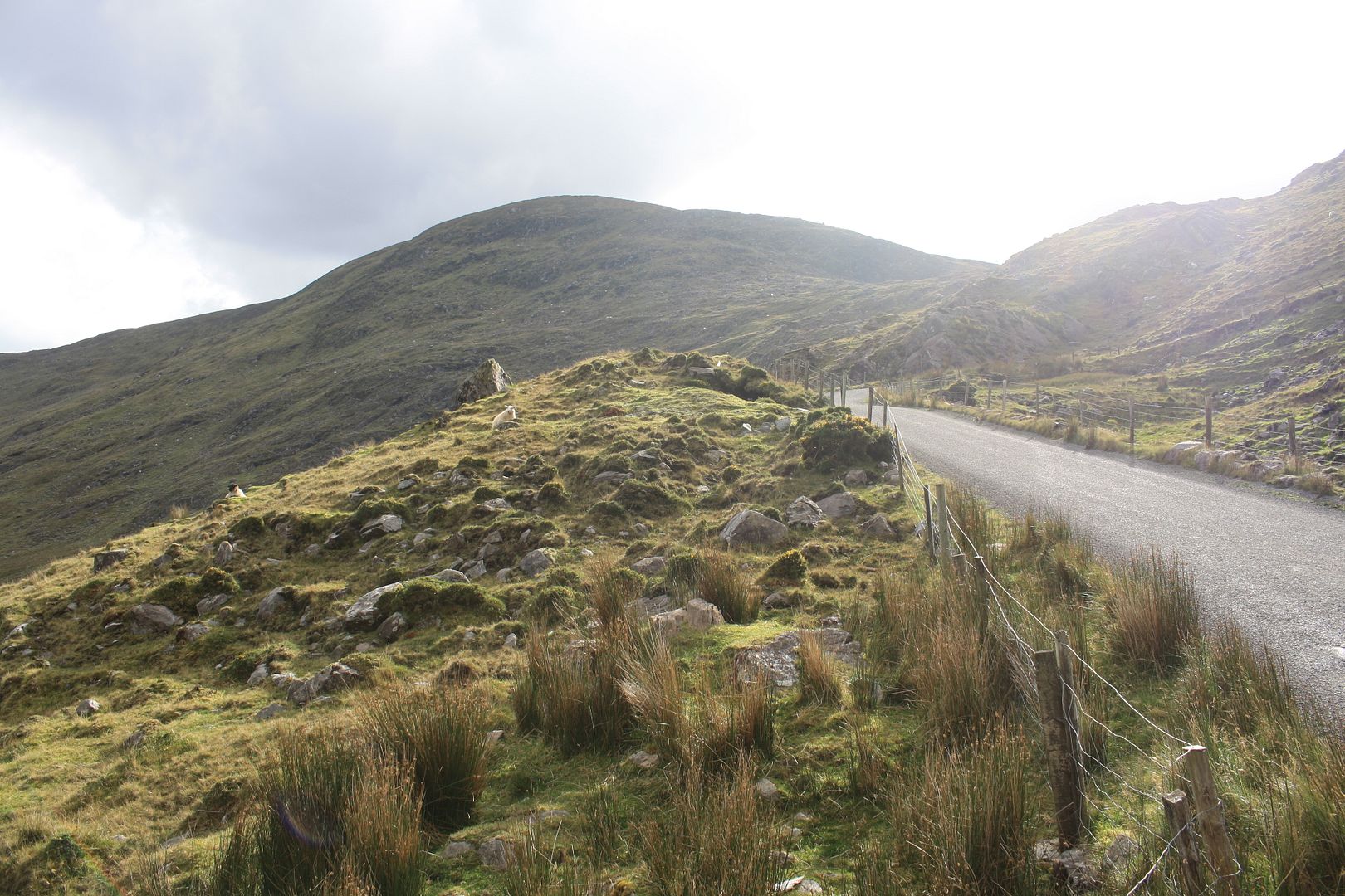 Killarney, Ireland photo IMG_3216_zpsnnnrm70j.jpg