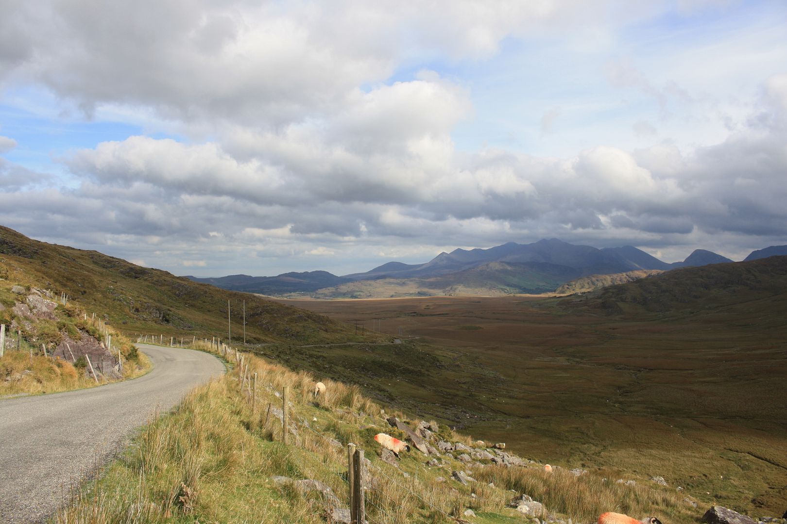 Killarney, Ireland photo IMG_3234_zpshfro8za3.jpg