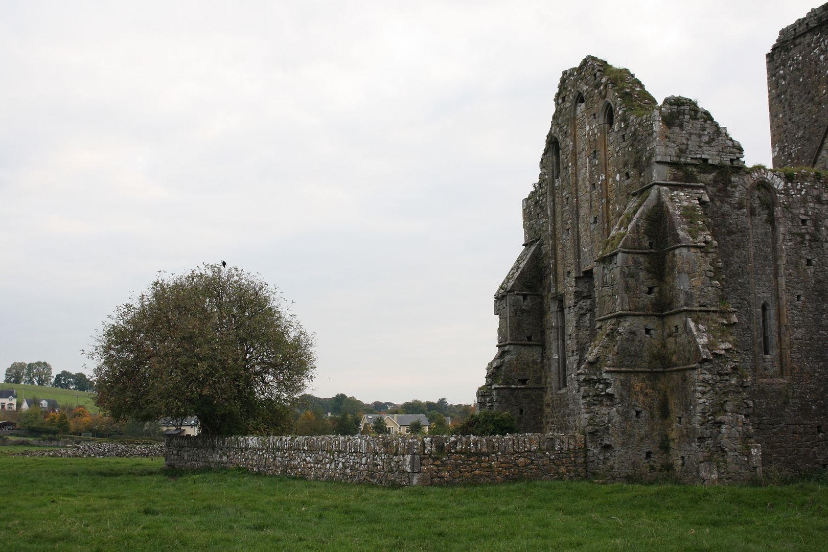 Hore Abbey, Cashel, Ireland photo IMG_3740_zpsfj2x4h6n.jpg