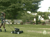 lawnmower-1.gif