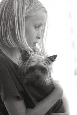 1113503125yorkshire_terrier_7.jpg