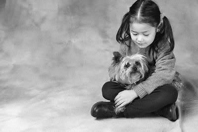 1113503155yorkshire_terrier_17.jpg