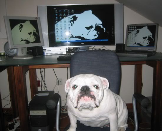work_spaces4.jpg