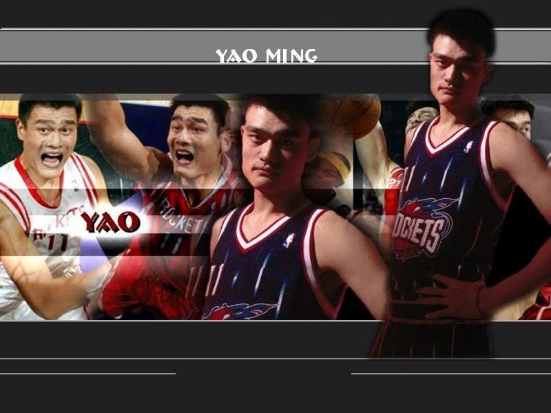 yaoming1_800x600.jpg
