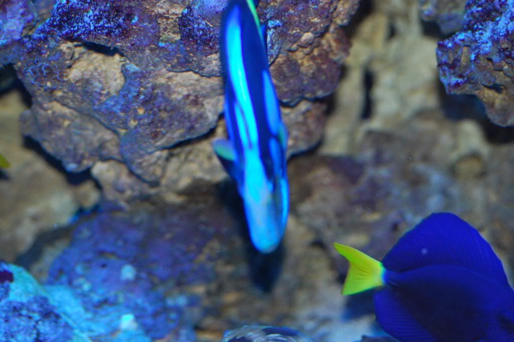 DSC_0033.jpg