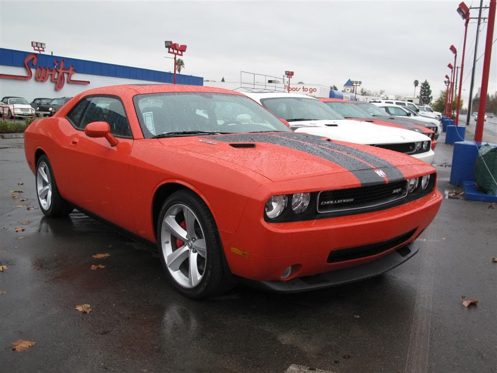 IMAGE: http://i191.photobucket.com/albums/z93/greg20d/IMG_1594Large.jpg