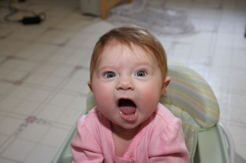 IMAGE: http://i191.photobucket.com/albums/z93/greg20d/IMG_9863.jpg