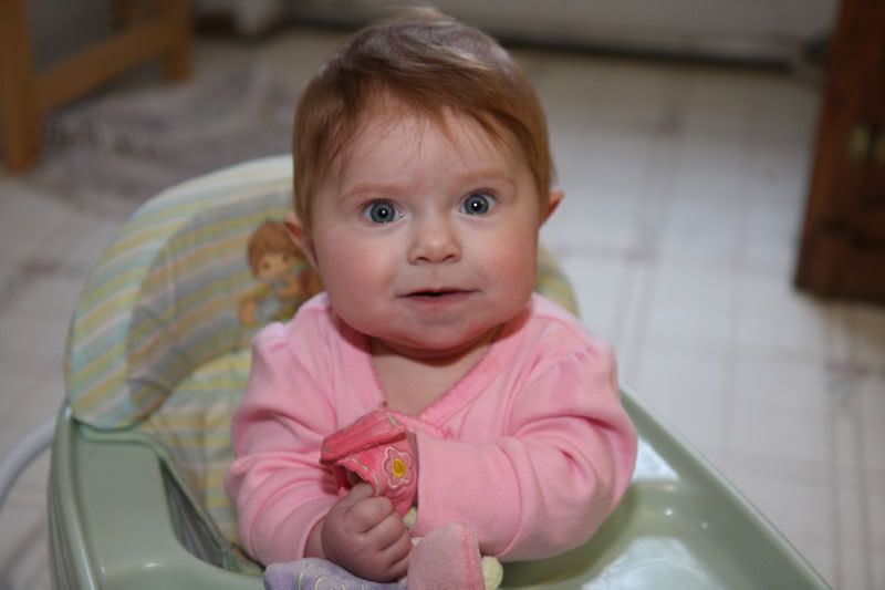 IMAGE: http://i191.photobucket.com/albums/z93/greg20d/IMG_9867.jpg