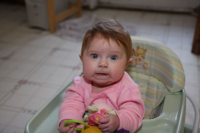 IMAGE: http://i191.photobucket.com/albums/z93/greg20d/IMG_9871.jpg