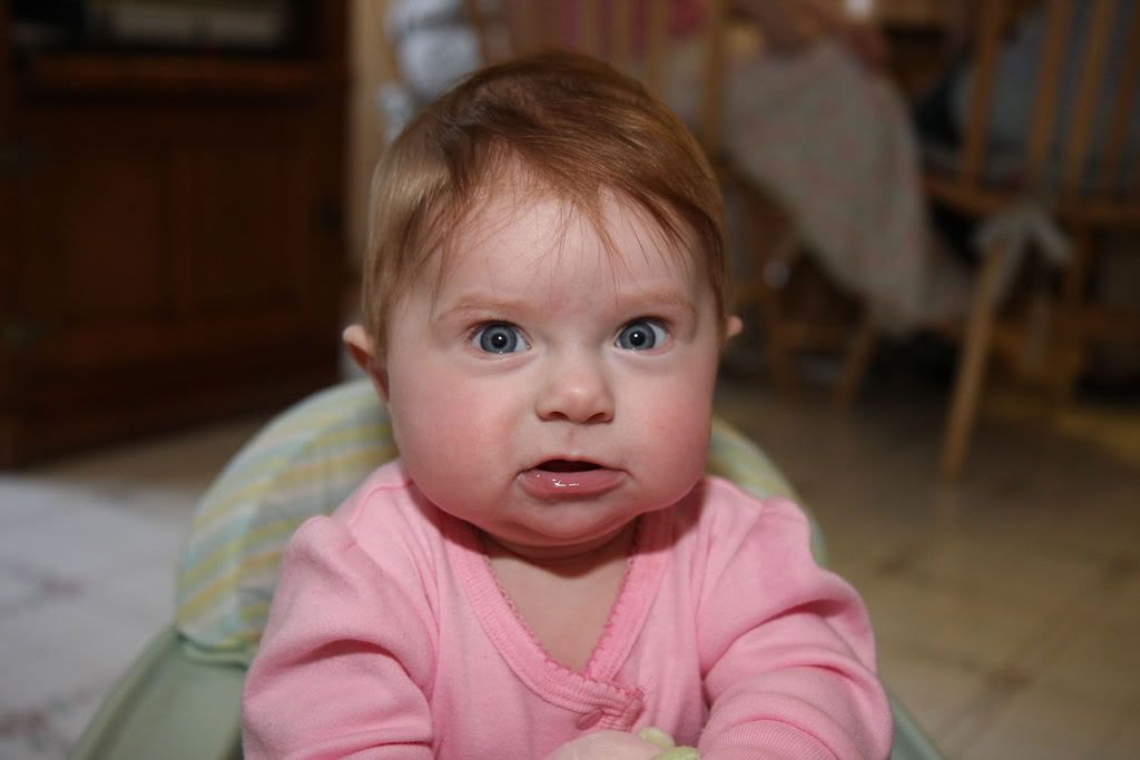 IMAGE: http://i191.photobucket.com/albums/z93/greg20d/IMG_9873.jpg