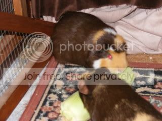 DSCF1619.jpg