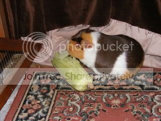 DSCF1625.jpg