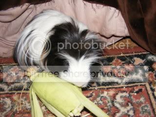 DSCF1639.jpg