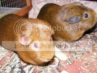 DSCF1642.jpg