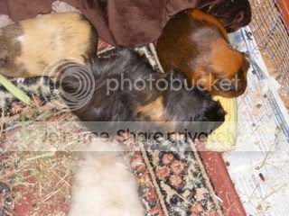 DSCF1643.jpg