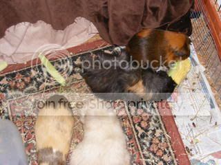DSCF1644.jpg