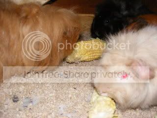 DSCF1653.jpg