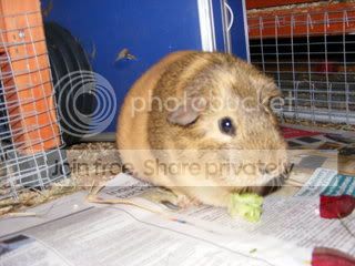 DSCF1690.jpg