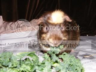 DSCF1842.jpg