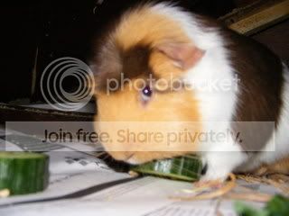 DSCF1847.jpg