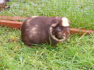 DSCF2039.jpg