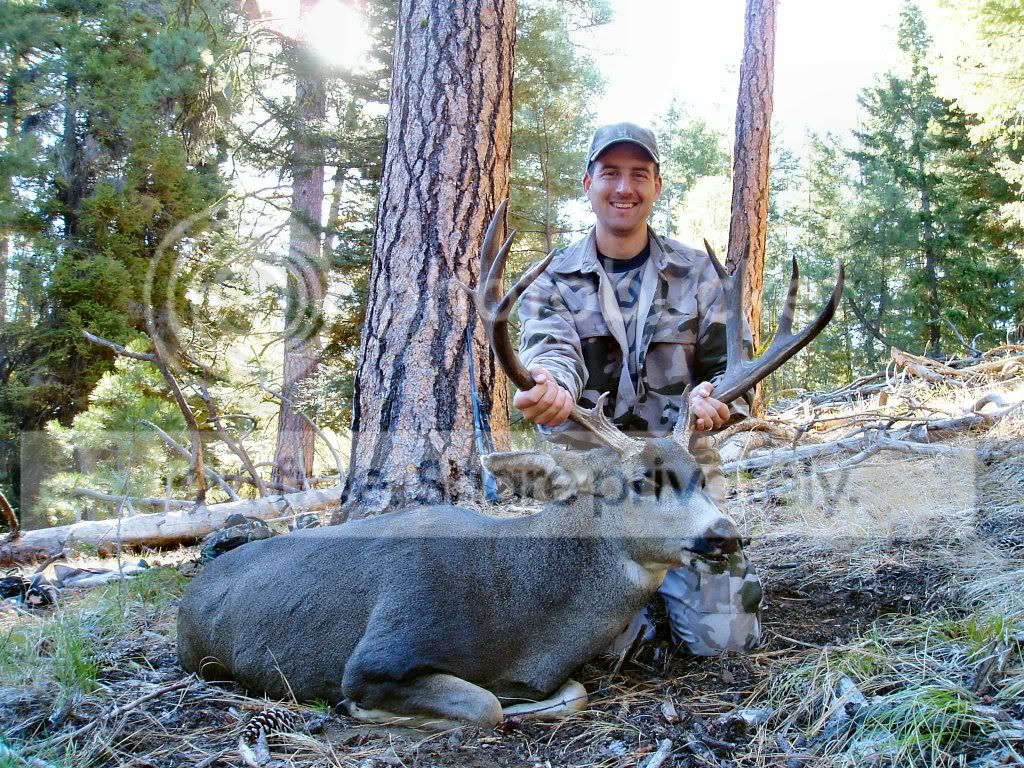 Oregon Deer hunting 24hourcampfire