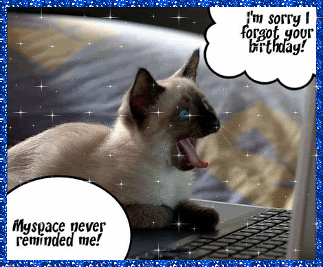 cat-computer-birthday.gif