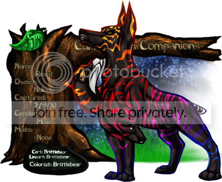 User Image