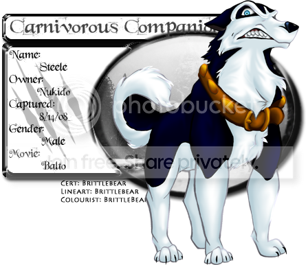 User Image