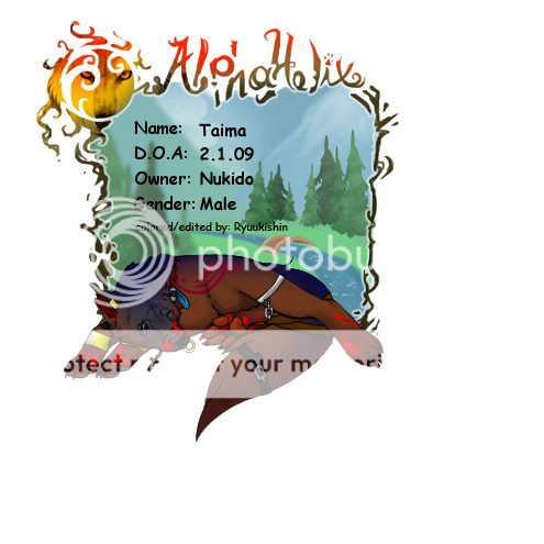 User Image