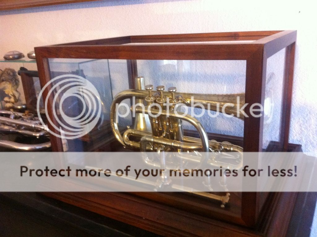 Display Case View topic Trumpet Herald forum