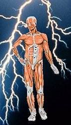 You lose all of your skin? You lose all of your skin?
