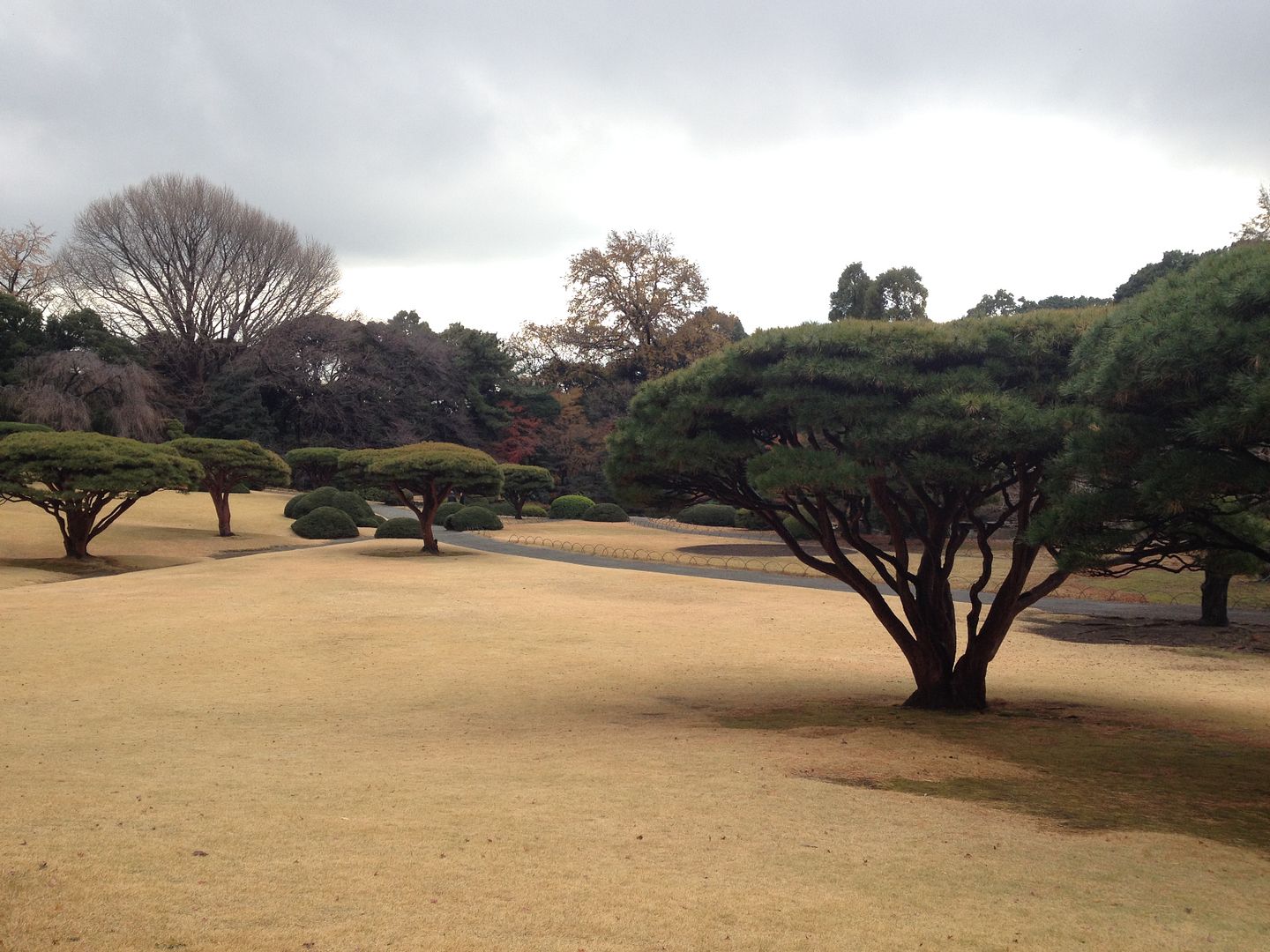 Shinjuku Gyoen National Garden, Tokyo, Japan photo 2013-12-20104830_zpsd9b5fde4.jpg