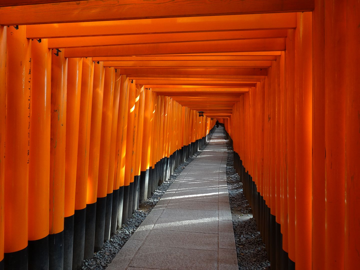 Fushimi Inari Shrine in Japan photo 2013-12-23DSC00535_zpsd5b9ceec.jpg