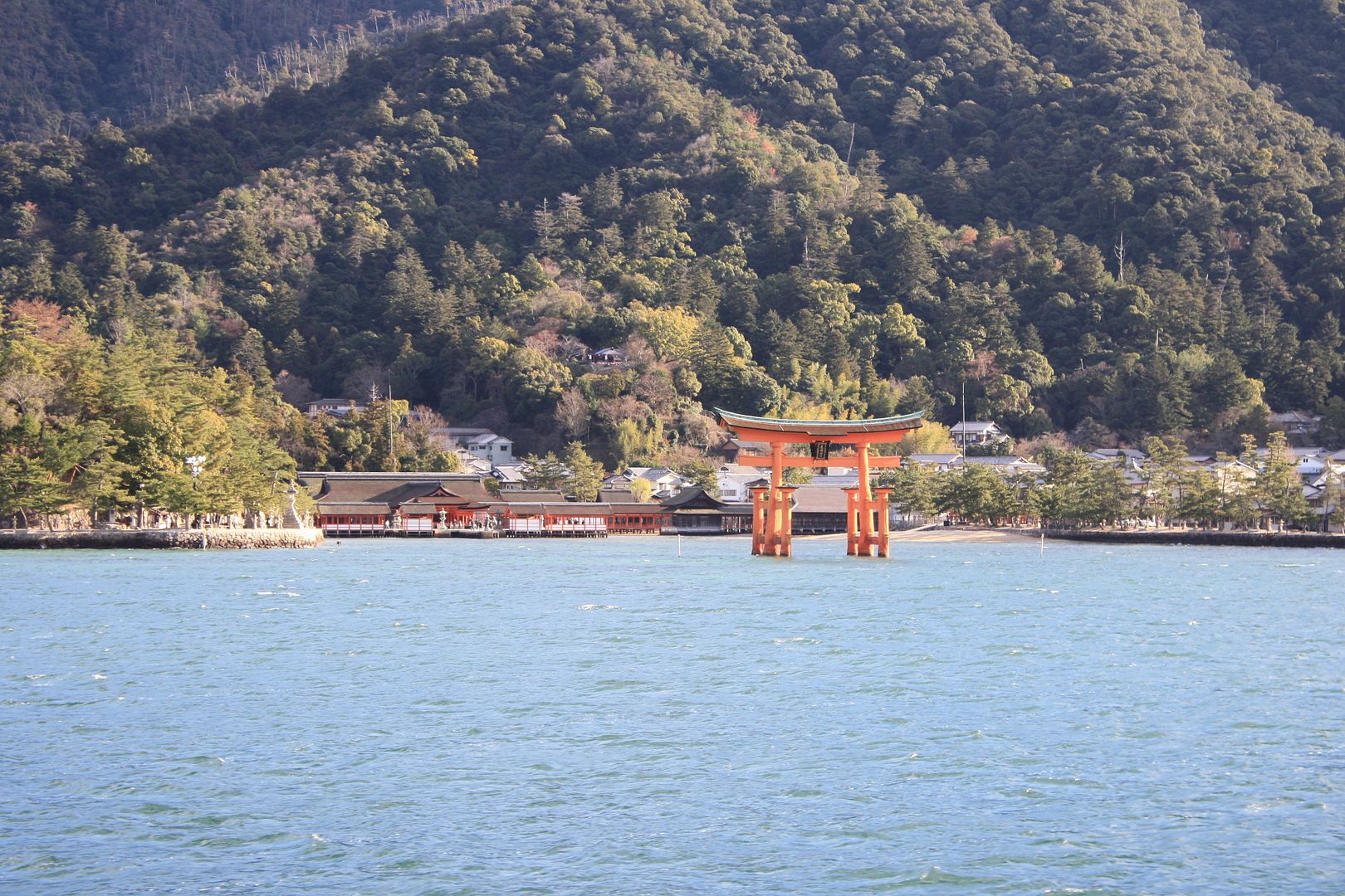 Itsukushima Shrine in Miyajima, Japan photo 2013-12-24225340_zpsd5287159.jpg